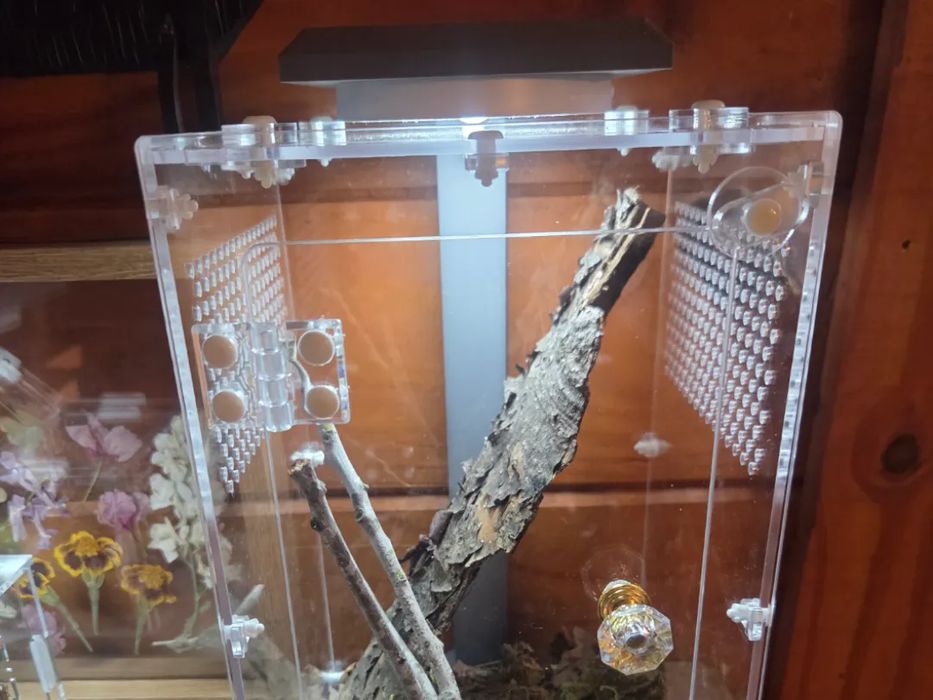 Suporte para Iluminação de Caixa de Aranha Saltadora 6"x6"