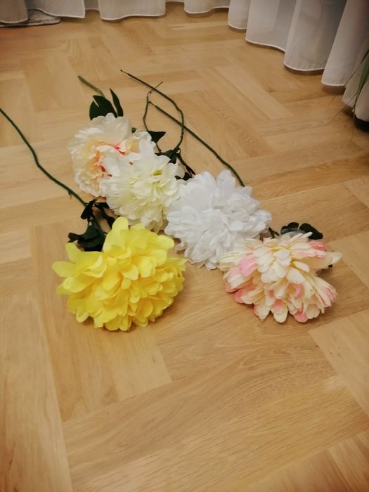 Chryzantemy duże, nowe 5 sztuk