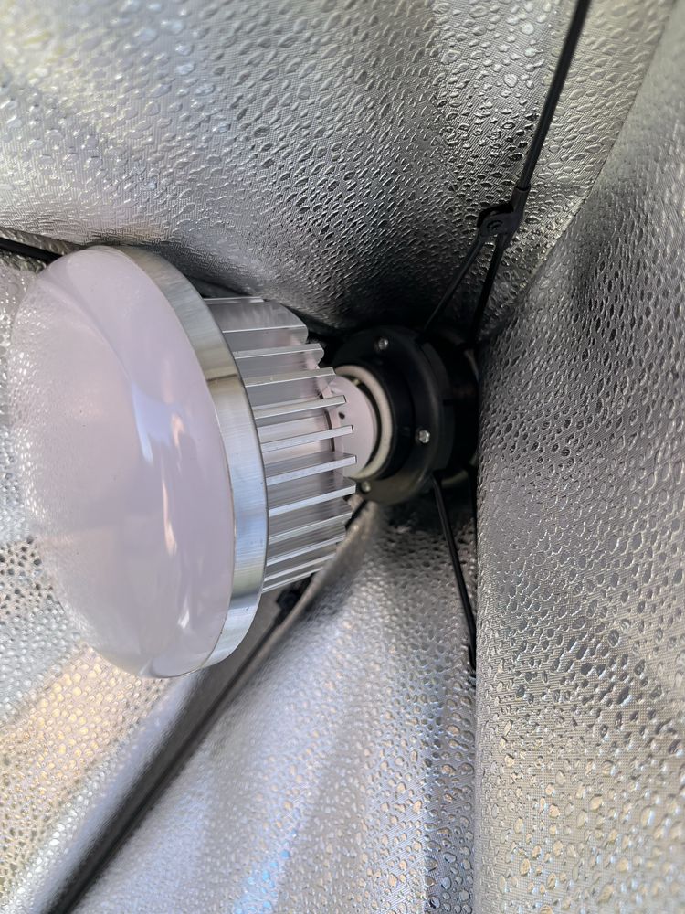 Zestaw 2x lampa softbox PILOT regulacja 2x statyw
