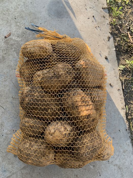 Ziemnaki warzywa z dowozem