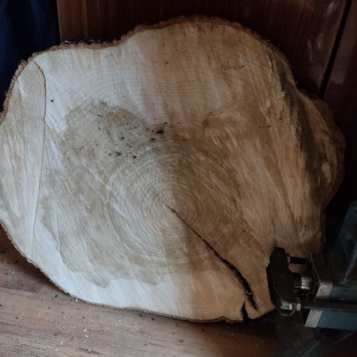 Plaster drzewa jesion  blat  krążek  stolik żywica