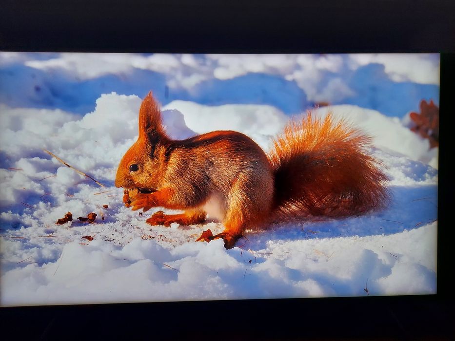 SmartTV QLED Samsung 55" 4K WiFi BT DVB-T2/S2/C Quantum HDR10+ ZESTAW!