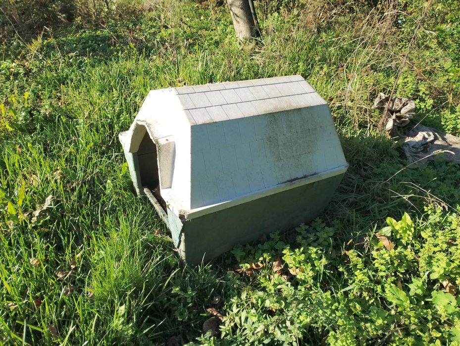 Casota em bom estado