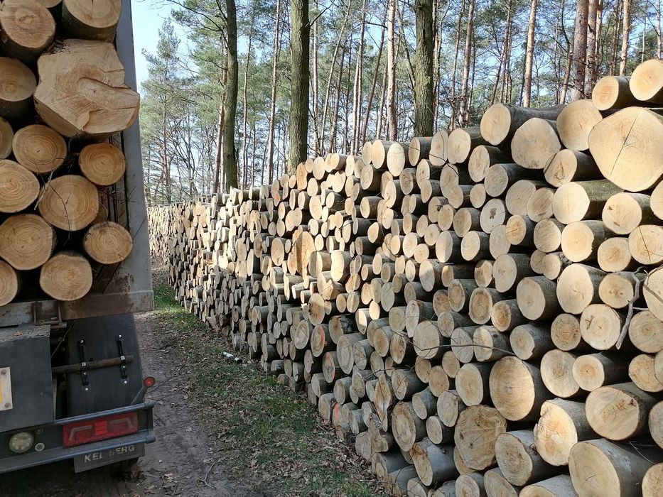 Drewno kominkowe i opałowe buk Oława i okolice