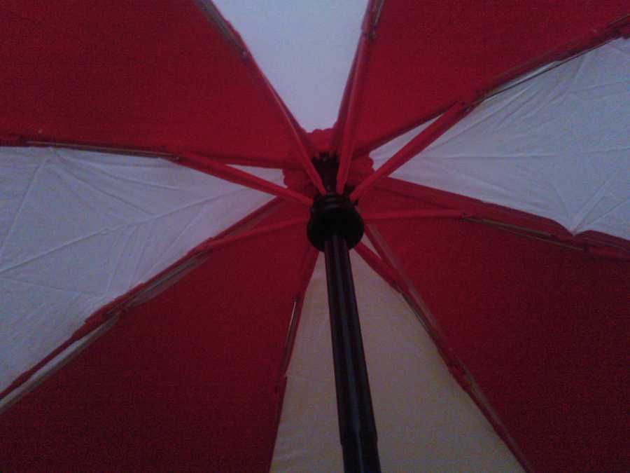 Parasolka automatyczna UMBRELLA CORP RESIDENT EVIL sportowa