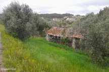 Terreno Rustico
