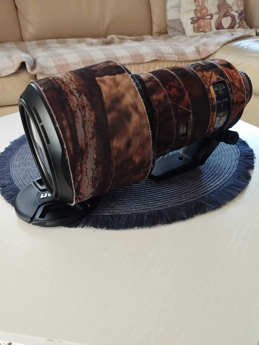 Nikkor 200–500mm f/5.6E ED VR