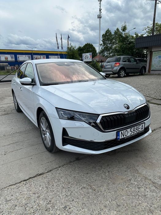 Wynajem samochodów wynajmę Skoda Octavia 2025r automat