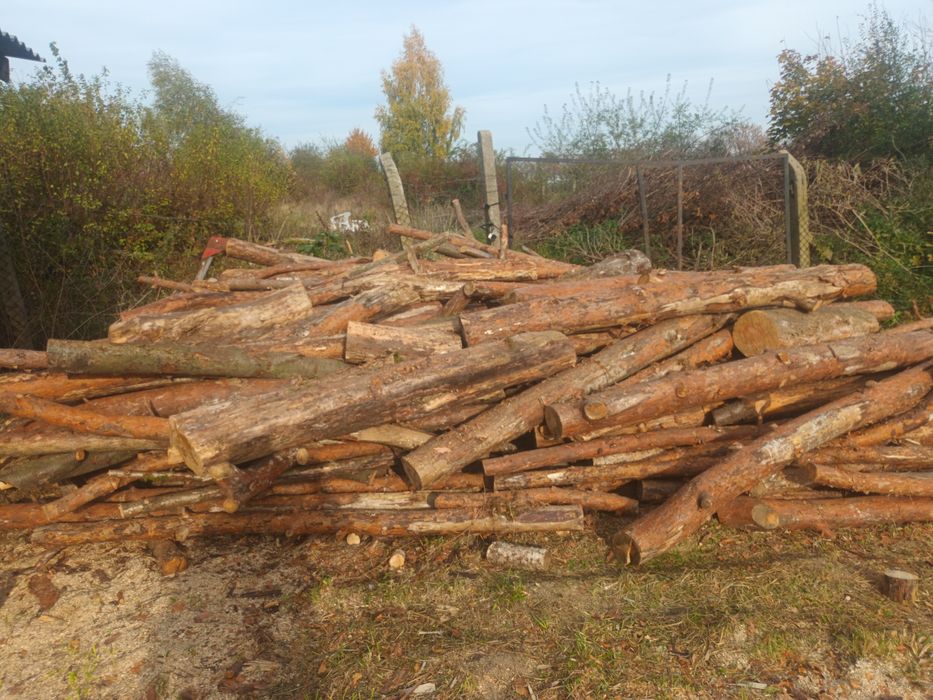 Sprzedam drzewo : wałki , pocięte lub połupane  6 6 7  O O 7 2 1 4