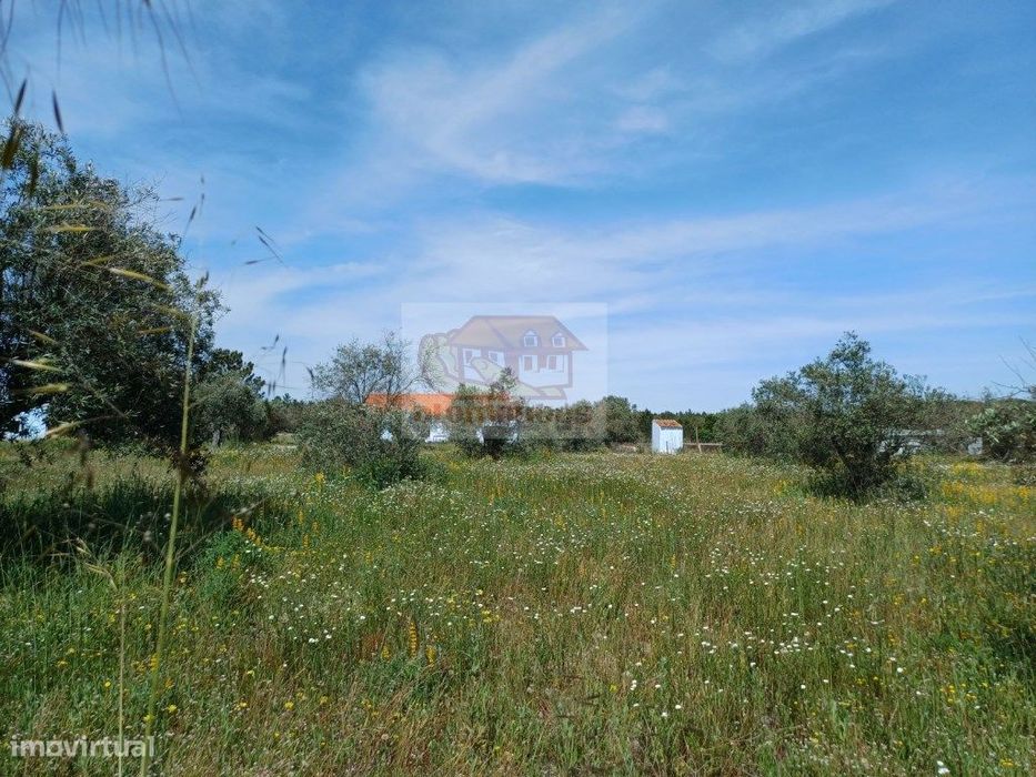 Casa para reabilitar em terreno de 20 hectares - Muda