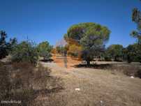 Terreno Rustico Com 22.320 M2 - Possibilidade De Construir Apoio Ag...