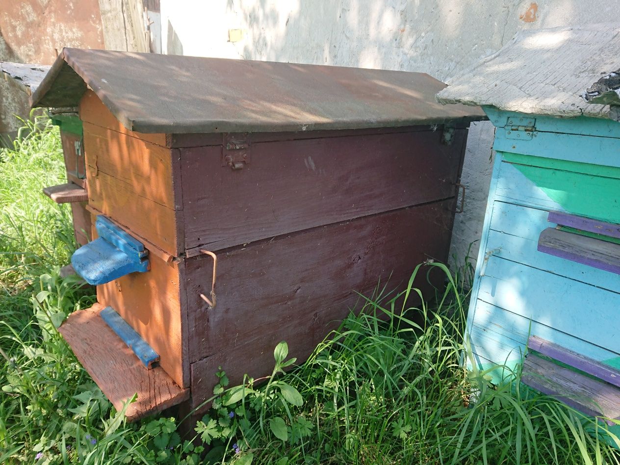 Продаж вуликів, в наявності 5