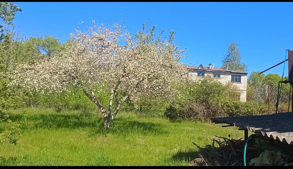 Продається земельна ділянка в с.Хлепча