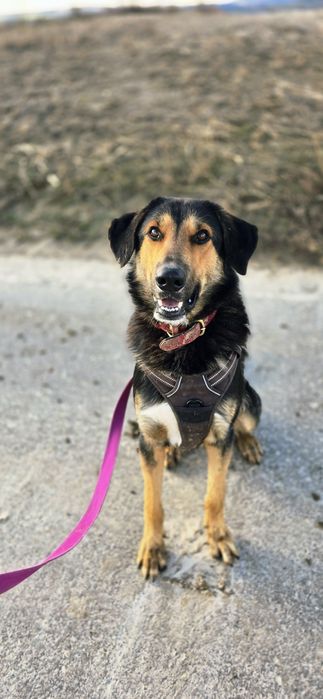 Cudowny, grzeczny August