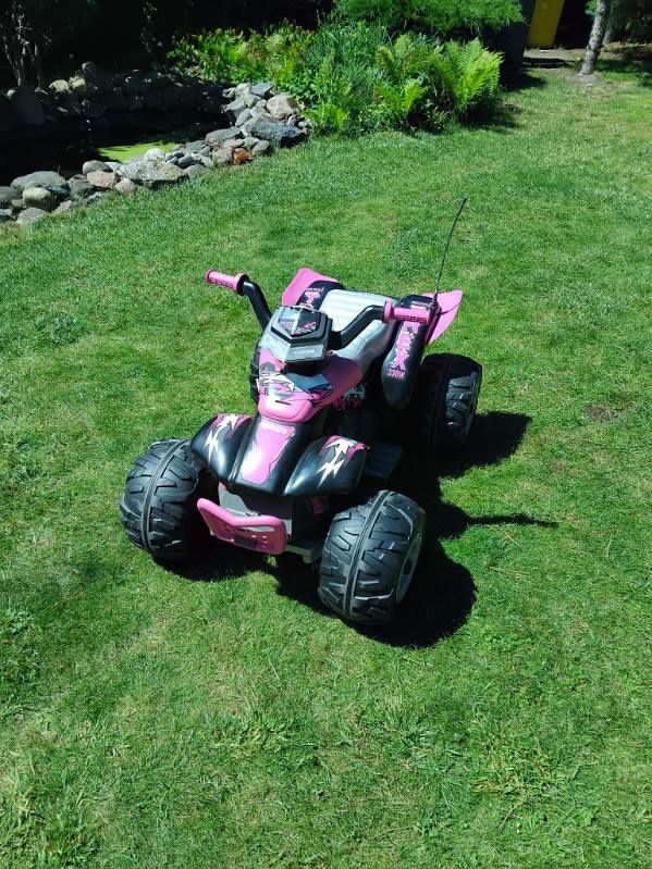 quad peg perego t rex