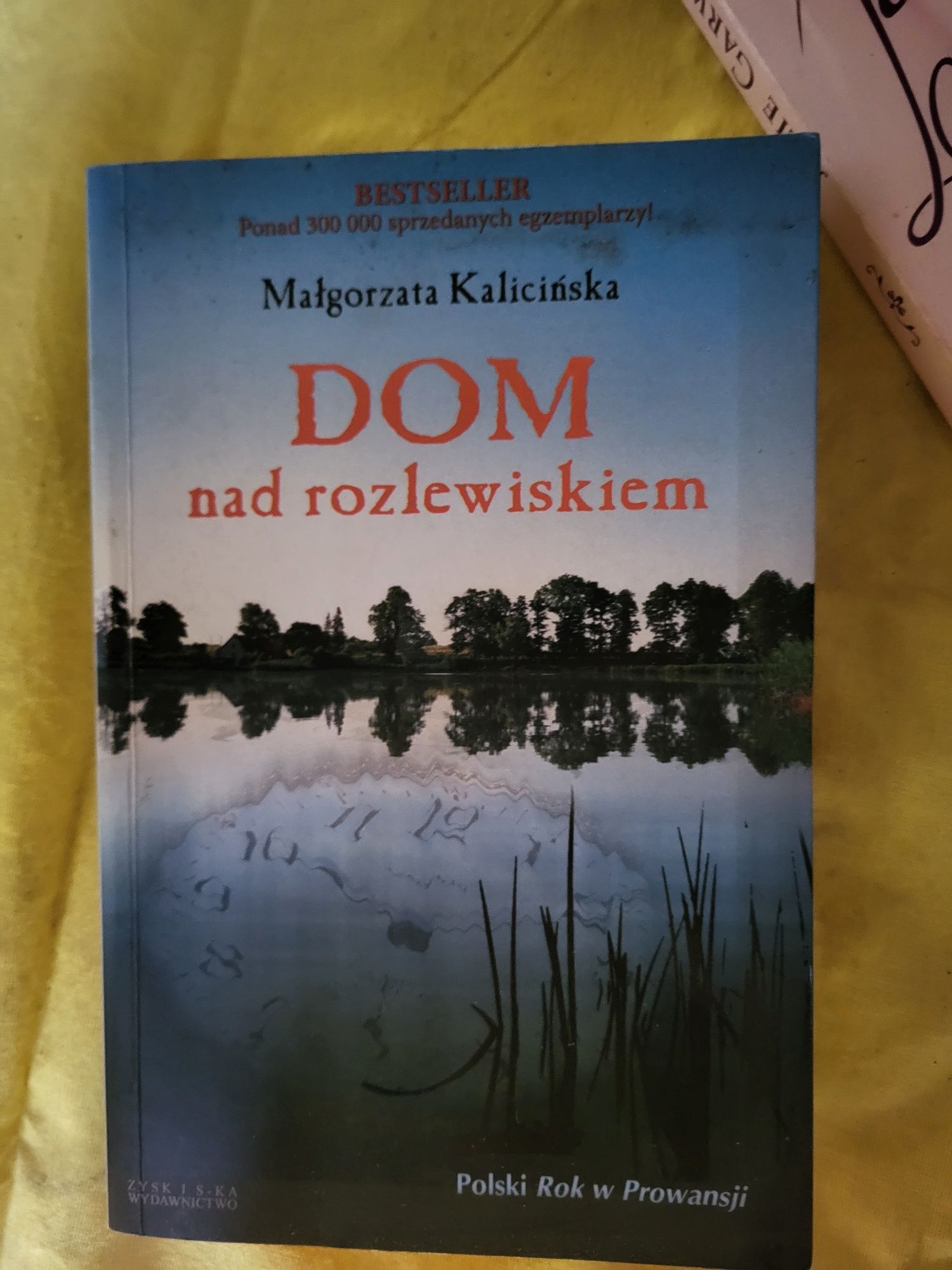 Dom nad rozlewiskiem Małgorzata Kalicińska