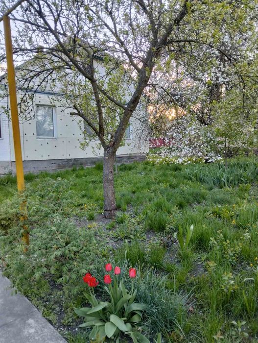 Продам будинок в с. Михайлівка Лебединського району