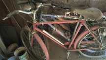 Vendo bicicletas