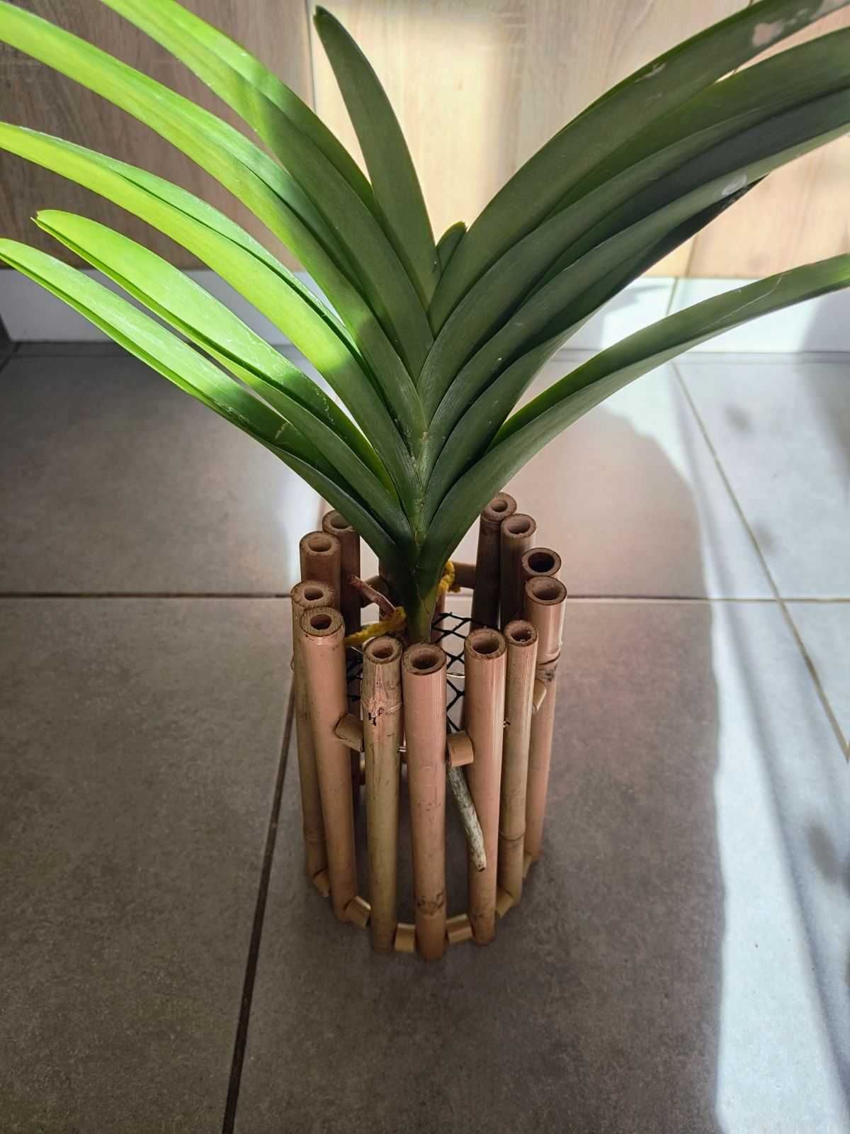Корзинка из бамбука для орхидея  каттлея  ванда
