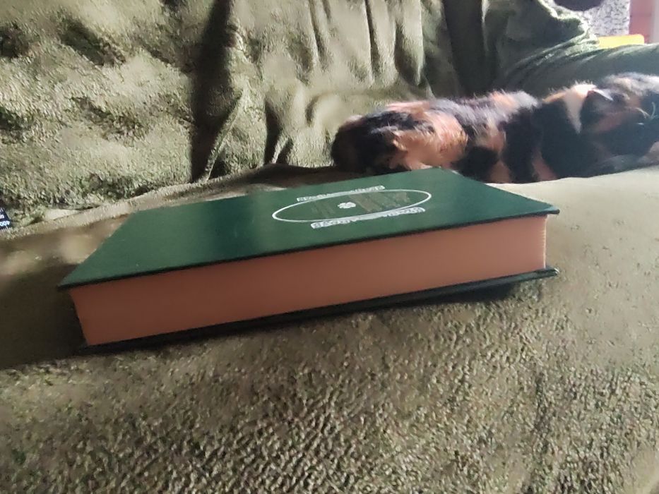 Всемирное писание