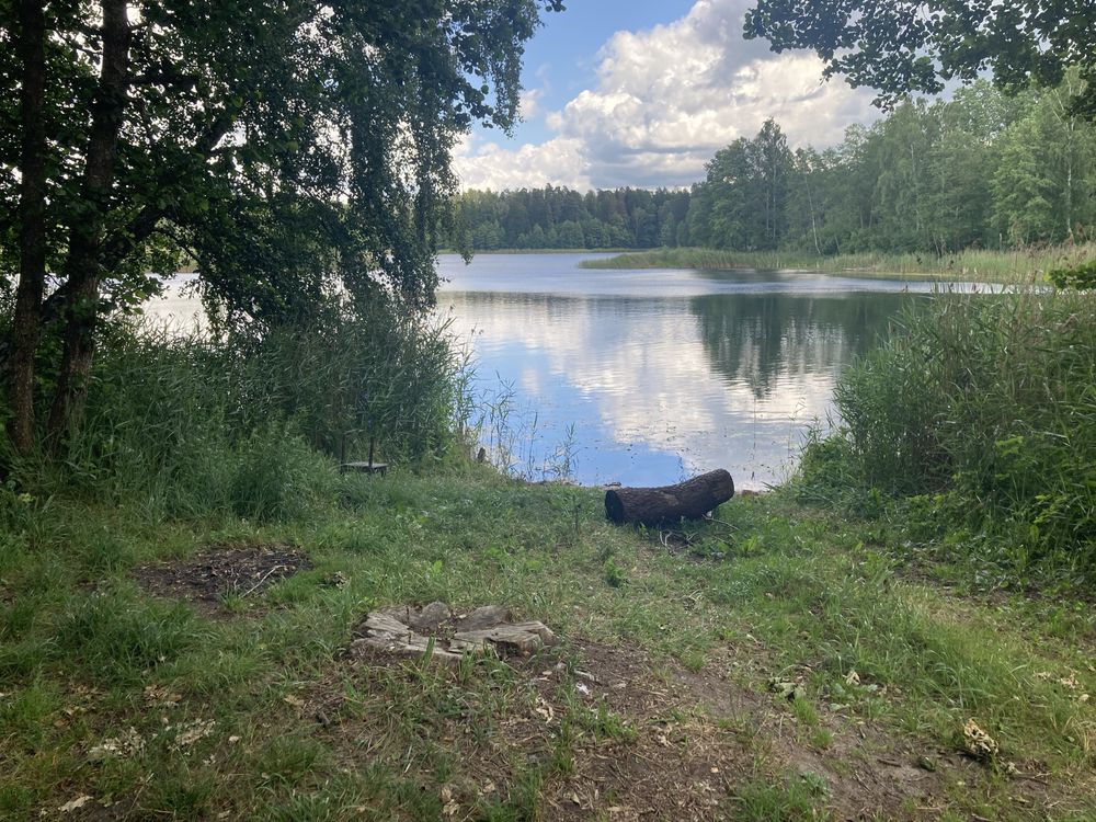Domek na Mazurach, domek drewniany, las, Mazury, cisza, Mrągowo