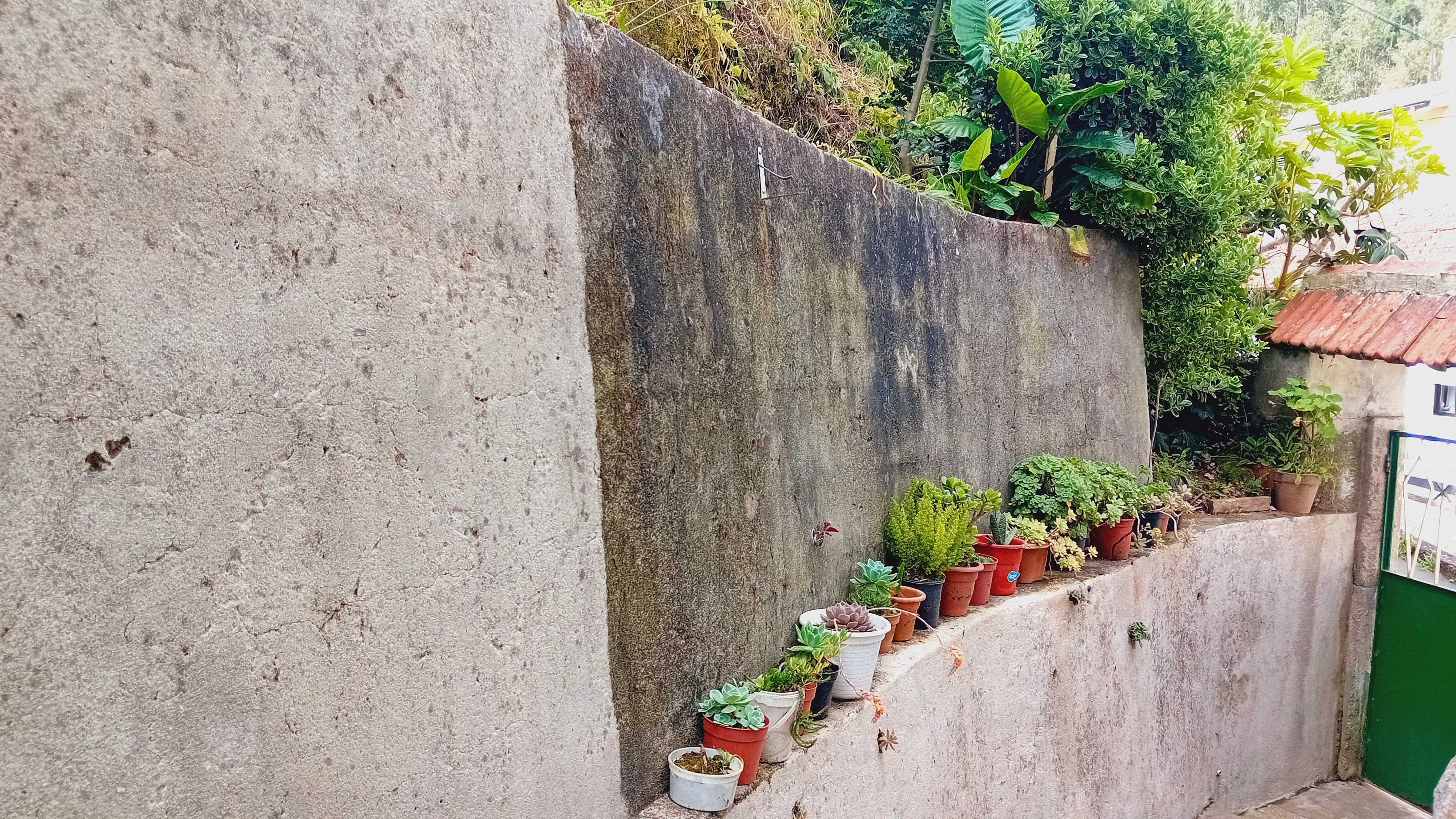 Manutenção de Jardins *!preços justos!*