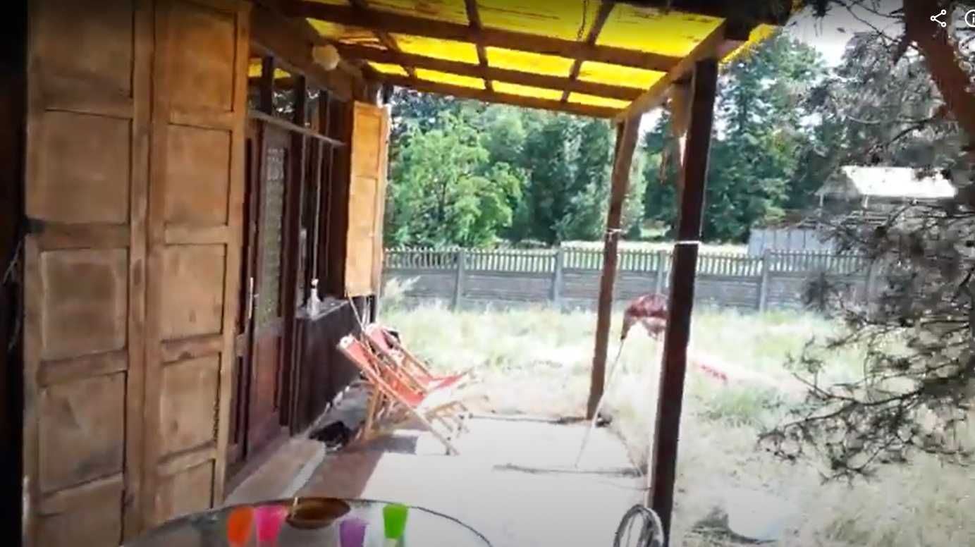 Domek letniskowy k. Zaniemyśla