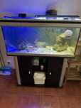 Vendo aquario marinho