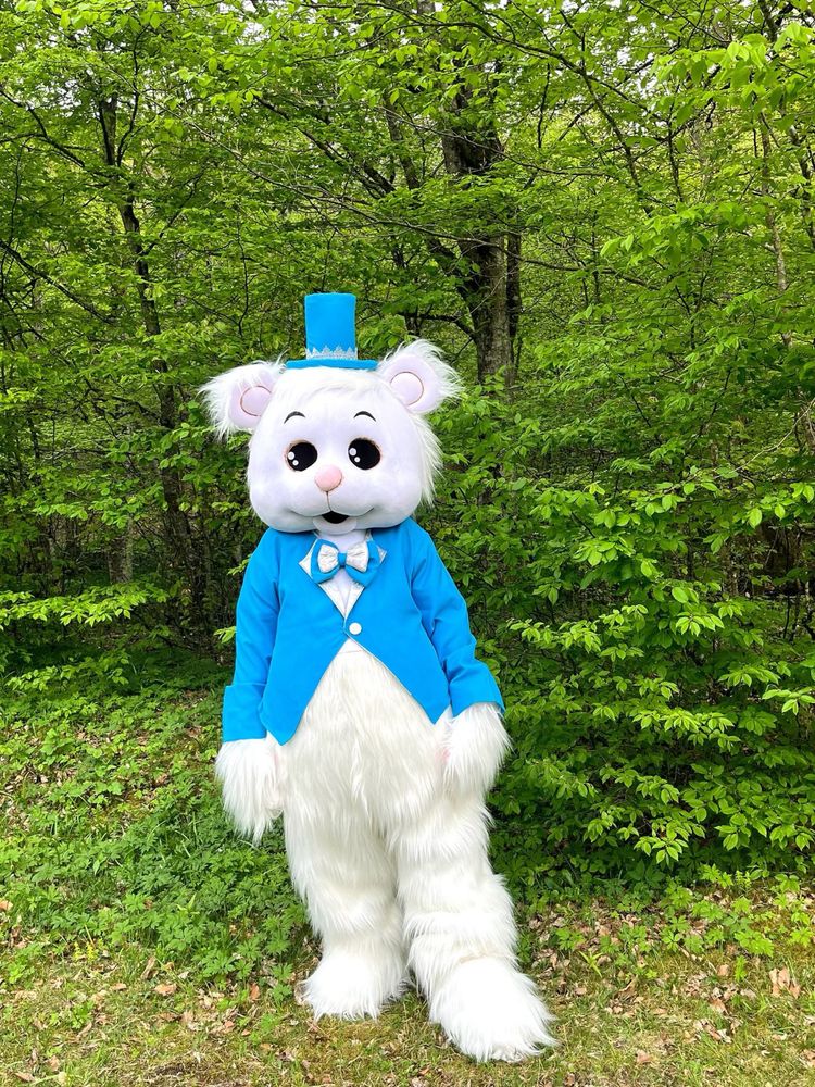 Костюм аніматора