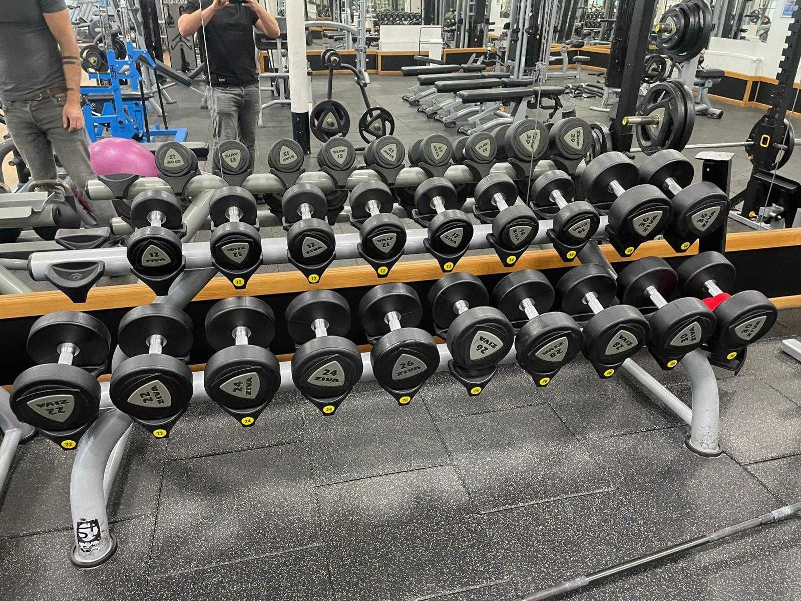 Zestaw hantli ZIVA URETHANE DUMBBELL 10-40kg skok co 2 kg nie gumowe