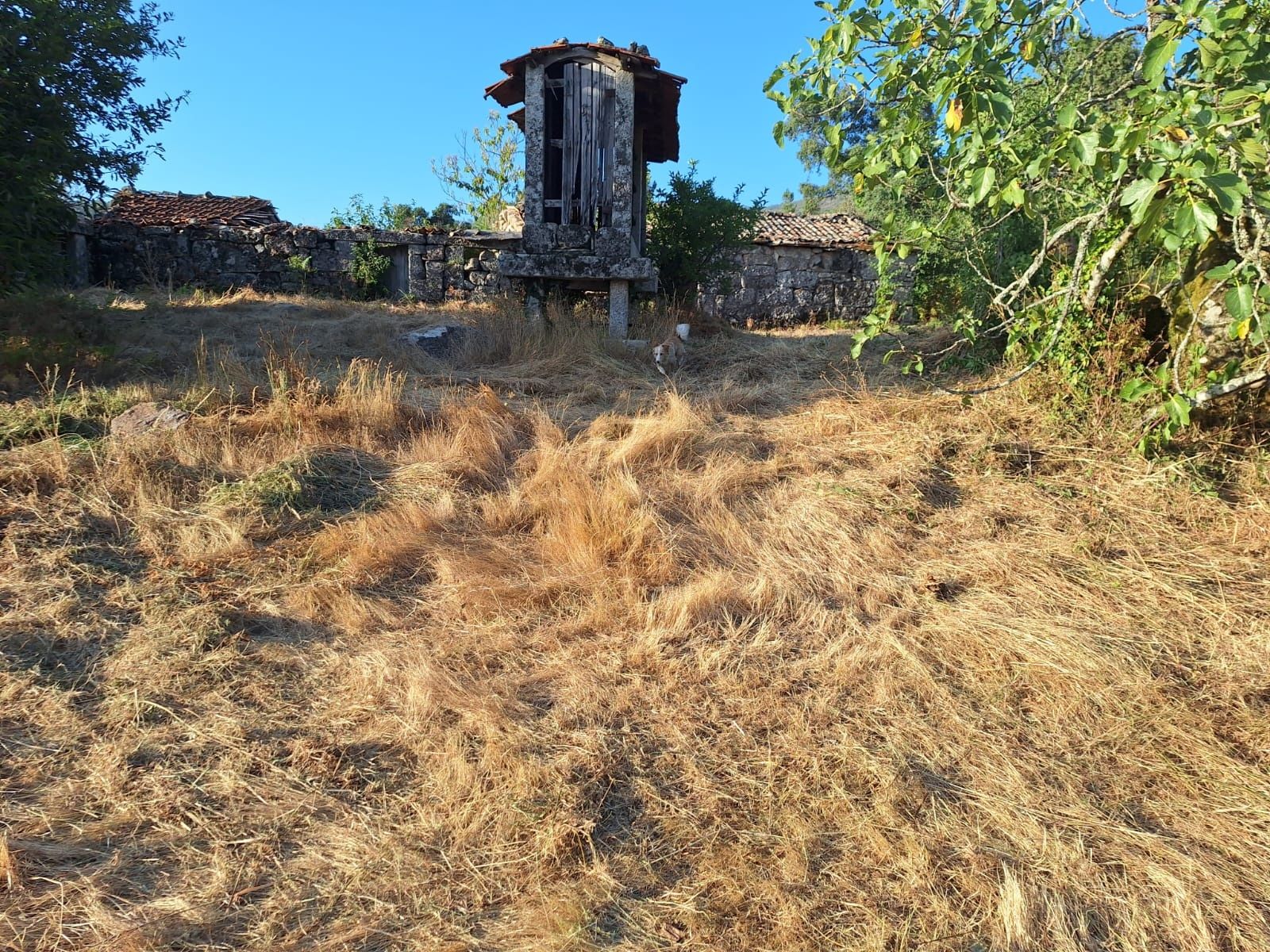 Quinta Caramulo com três casas para Turismo ou férias