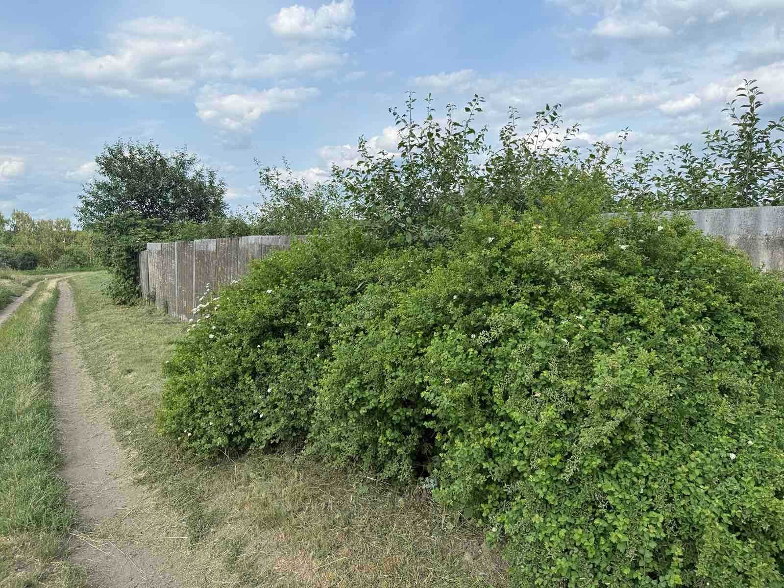 Продається дачна ділянка, дача з будинком в с. Тарасівка