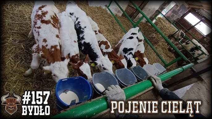 Wiadro do pojenia cieląt z zaworem i smoczkiem gumowym, 8 l, szare