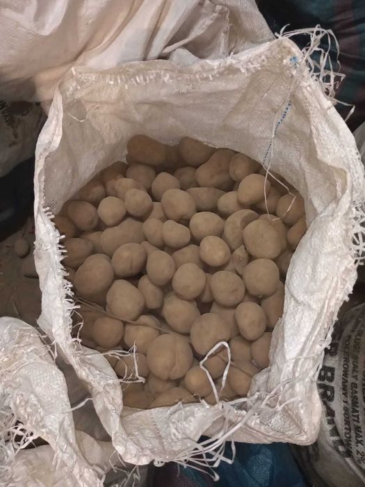 ziemniaki drobne/odpadowe