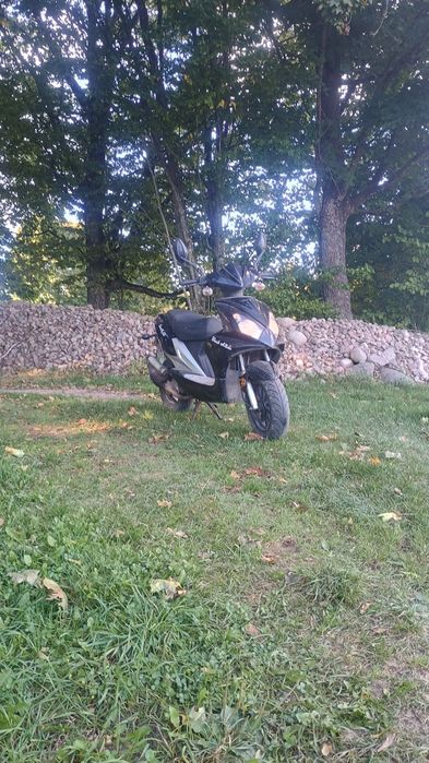 skuter longija 50