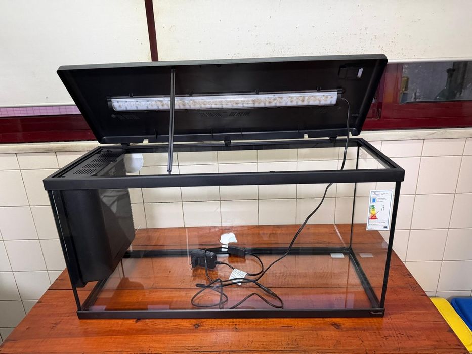 Aquário novo "Aquarium aquatlantis"