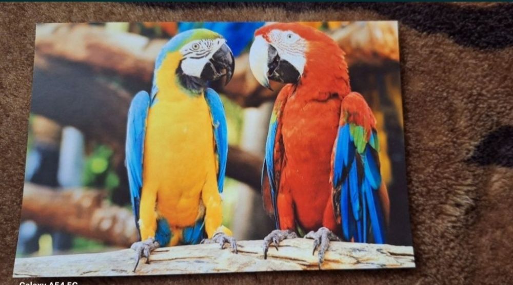 Друк фото від 10х15 до 20х30