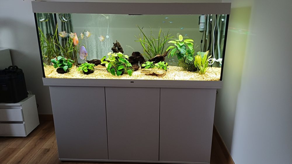 Akwarium Juwel Rio 450 Szafka filtry zestaw fluval g6 aquael Hypermax