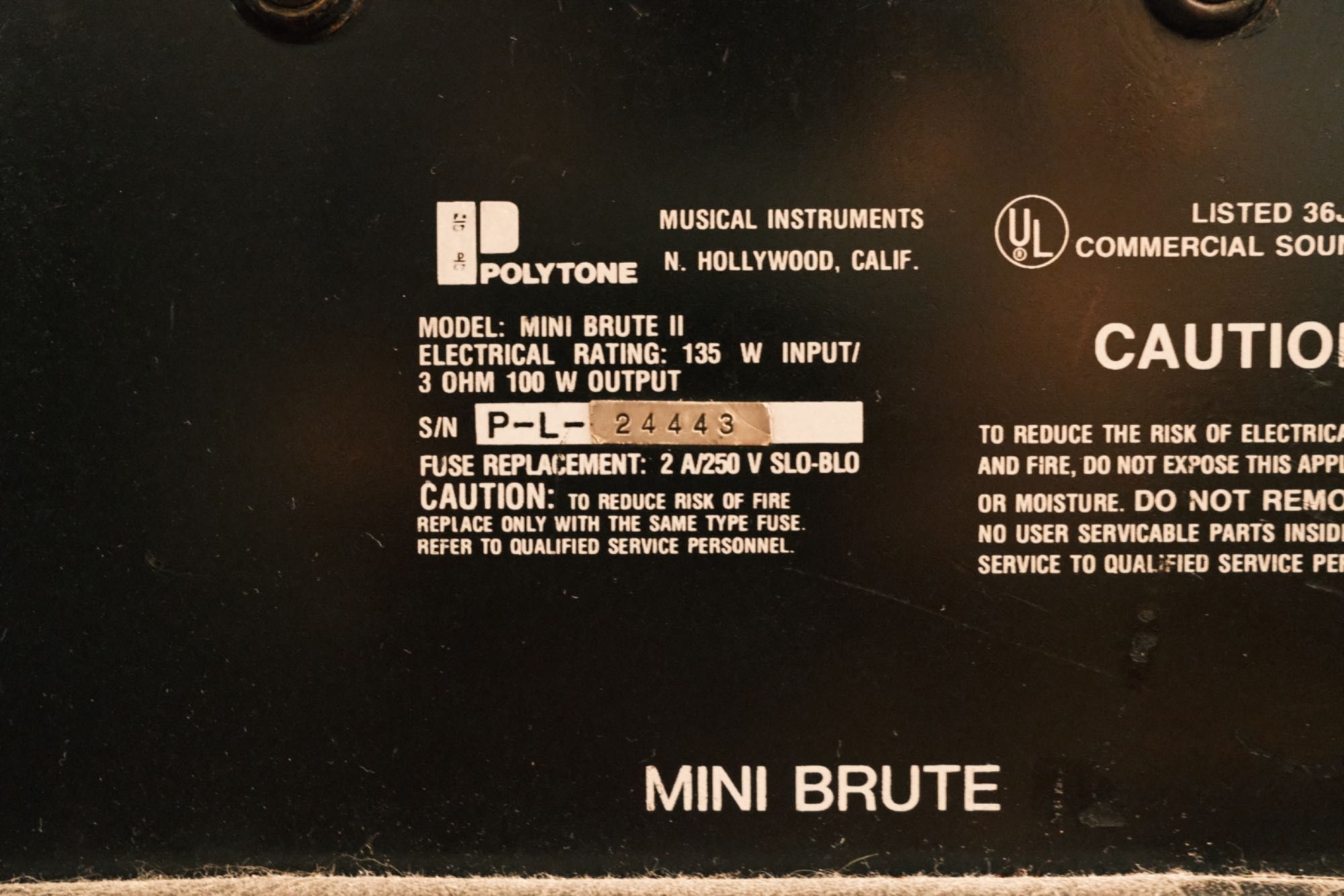 Amplificador Polytone Mini-Brute