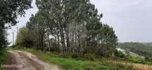 Terreno  para venda