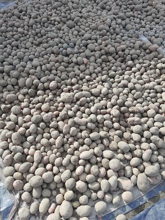 Продам картоплю органічну