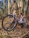Bicicletas antigas
