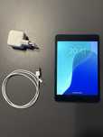 Apple iPad mini LTE 256