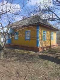 Продається будинок в с.Крути , Чернігівська область