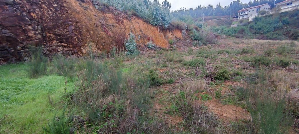 Terreno Urbano para Moradia