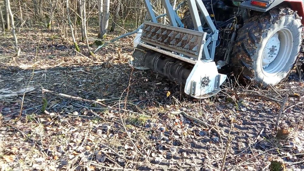 wycinka drzew, mulczer, zwyżka frezowanie pni
