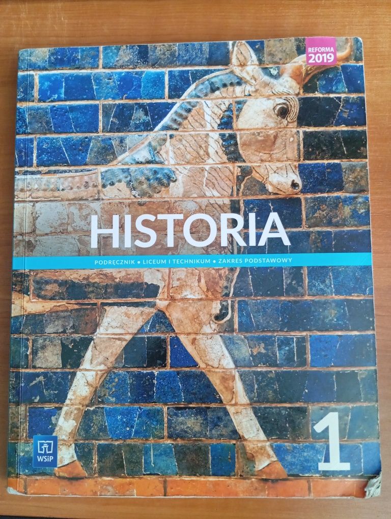 Historia 1 WSiP.