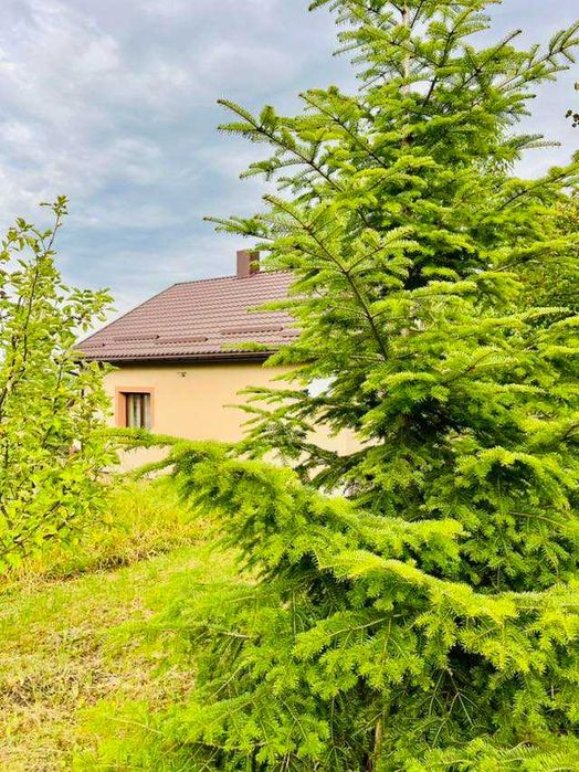 Оренда будинку Лисиничі, біля Львова