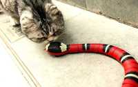 Zabawka interaktywna dla kota - wąż elektryczny na USB - nowy