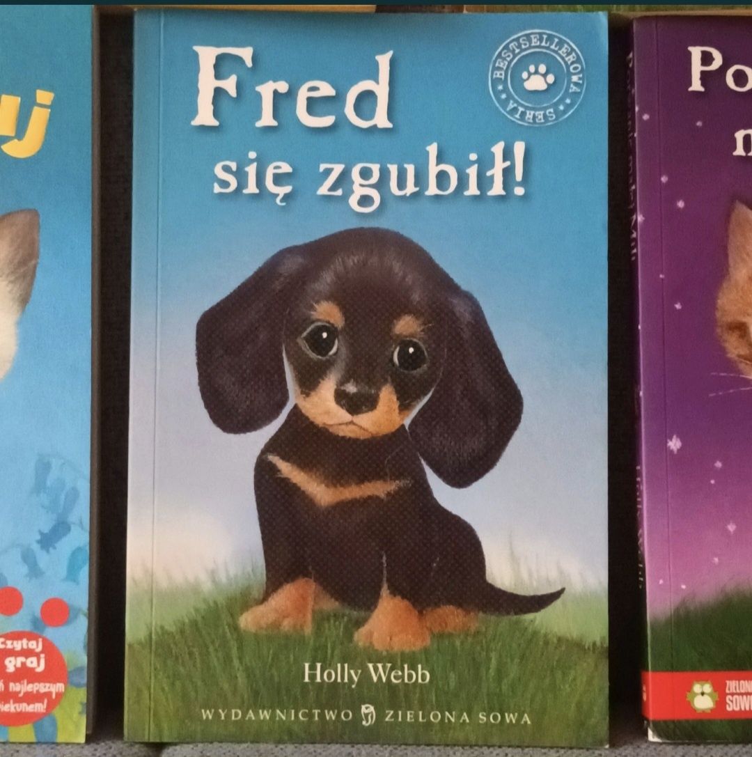 Zestaw książek dla dzieci Holly Webb